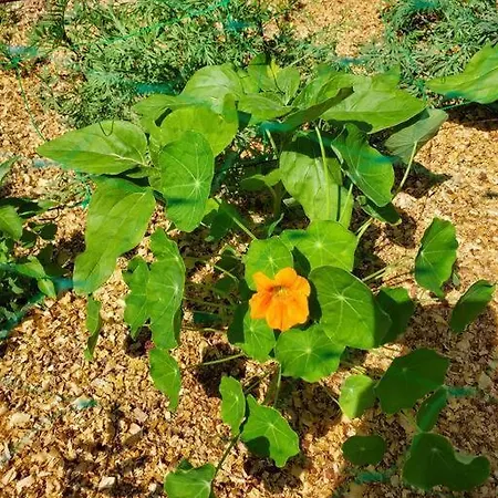 Appartement La Grelauderie 2